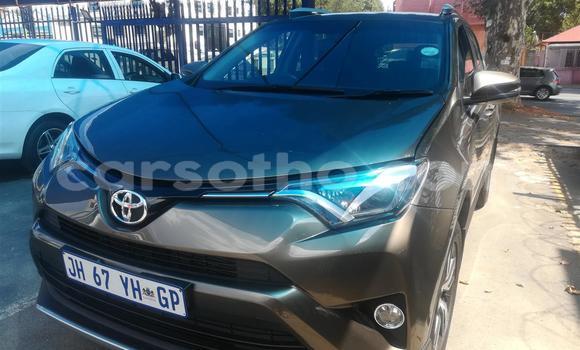 Buy Used Toyota RAV4 Other Car in Maseru in Maseru Buy Used Toyota RAV4 Other Car in Maseru in Maseru