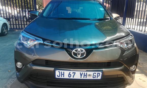 Buy Used Toyota RAV4 Other Car in Maseru in Maseru Buy Used Toyota RAV4 Other Car in Maseru in Maseru