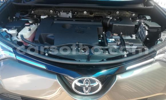 Buy Used Toyota RAV4 Other Car in Maseru in Maseru Buy Used Toyota RAV4 Other Car in Maseru in Maseru