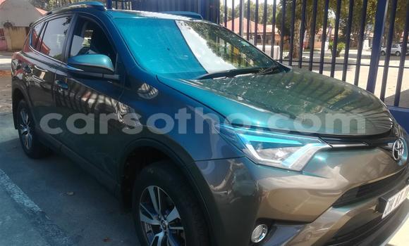 Buy Used Toyota RAV4 Other Car in Maseru in Maseru Buy Used Toyota RAV4 Other Car in Maseru in Maseru