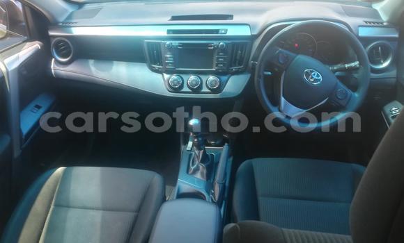 Buy Used Toyota RAV4 Other Car in Maseru in Maseru Buy Used Toyota RAV4 Other Car in Maseru in Maseru