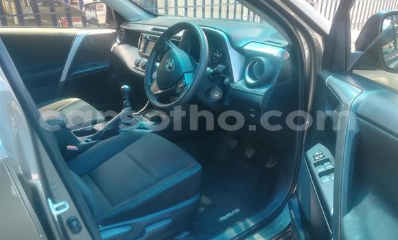 Buy Used Toyota RAV4 Other Car in Maseru in Maseru Buy Used Toyota RAV4 Other Car in Maseru in Maseru