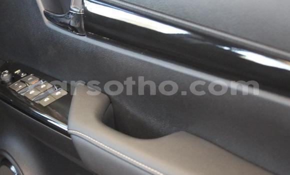 Buy Used Toyota Hilux Silver Car in Maseru in Maseru Buy Used Toyota Hilux Silver Car in Maseru in Maseru