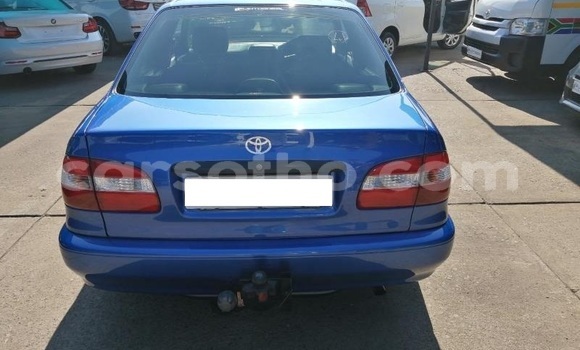 Acheter Occasion Voiture Toyota Corolla Bleu à Maseru, Maseru Acheter Occasion Voiture Toyota Corolla Bleu à Maseru, Maseru