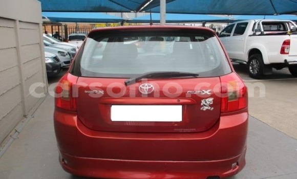 Acheter Occasion Voiture Toyota Runx Autre à Maseru, Maseru Acheter Occasion Voiture Toyota Runx Autre à Maseru, Maseru