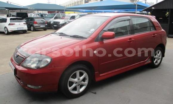 Acheter Occasion Voiture Toyota Runx Autre à Maseru, Maseru Acheter Occasion Voiture Toyota Runx Autre à Maseru, Maseru