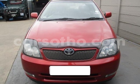 Acheter Occasion Voiture Toyota Runx Autre à Maseru, Maseru Acheter Occasion Voiture Toyota Runx Autre à Maseru, Maseru