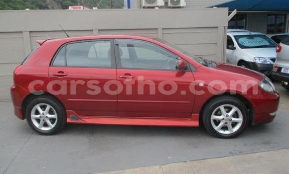 Acheter Occasion Voiture Toyota Runx Autre à Maseru, Maseru Acheter Occasion Voiture Toyota Runx Autre à Maseru, Maseru