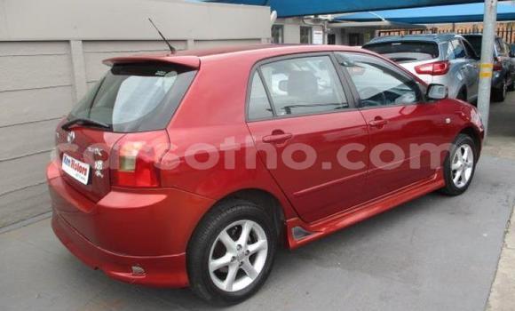 Acheter Occasion Voiture Toyota Runx Autre à Maseru, Maseru Acheter Occasion Voiture Toyota Runx Autre à Maseru, Maseru