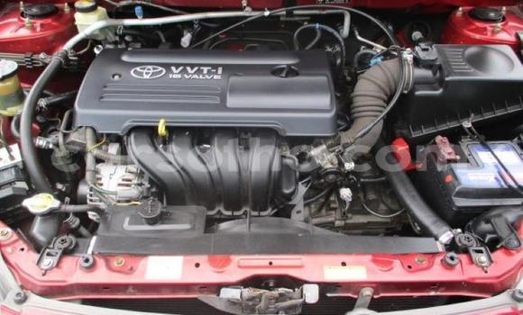 Acheter Occasion Voiture Toyota Runx Autre à Maseru, Maseru Acheter Occasion Voiture Toyota Runx Autre à Maseru, Maseru