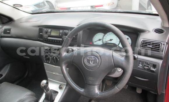 Acheter Occasion Voiture Toyota Runx Autre à Maseru, Maseru Acheter Occasion Voiture Toyota Runx Autre à Maseru, Maseru