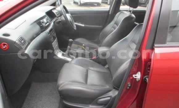 Acheter Occasion Voiture Toyota Runx Autre à Maseru, Maseru Acheter Occasion Voiture Toyota Runx Autre à Maseru, Maseru