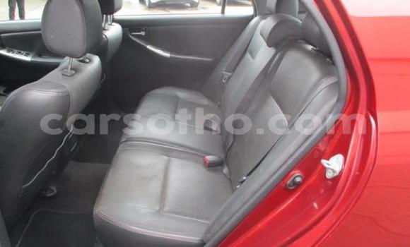 Acheter Occasion Voiture Toyota Runx Autre à Maseru, Maseru Acheter Occasion Voiture Toyota Runx Autre à Maseru, Maseru