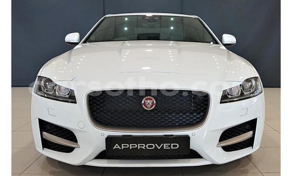 Acheter Occasion Voiture Jaguar XJ220 Blanc à Butha–Buthe, Thaba-Tseka Acheter Occasion Voiture Jaguar XJ220 Blanc à Butha–Buthe, Thaba-Tseka