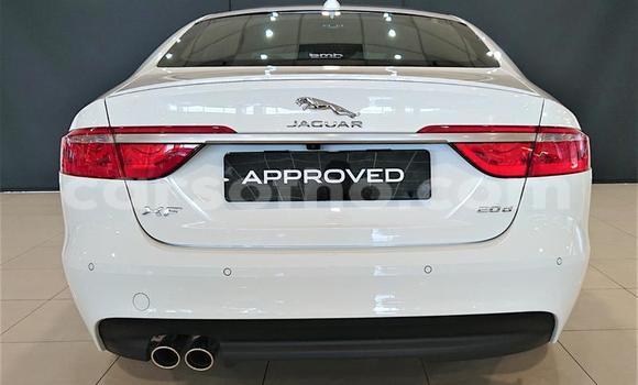 Acheter Occasion Voiture Jaguar XJ220 Blanc à Butha–Buthe, Thaba-Tseka Acheter Occasion Voiture Jaguar XJ220 Blanc à Butha–Buthe, Thaba-Tseka