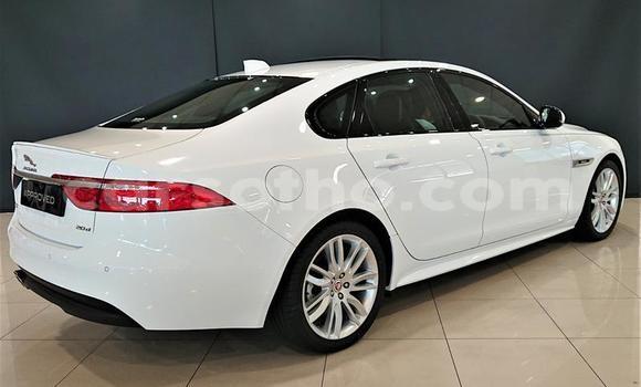 Acheter Occasion Voiture Jaguar XJ220 Blanc à Butha–Buthe, Thaba-Tseka Acheter Occasion Voiture Jaguar XJ220 Blanc à Butha–Buthe, Thaba-Tseka