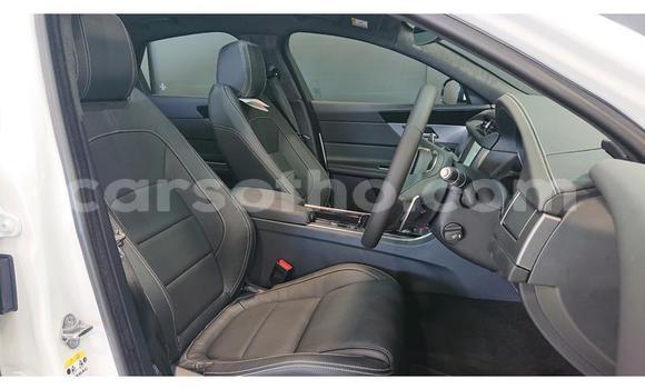 Acheter Occasion Voiture Jaguar XJ220 Blanc à Butha–Buthe, Thaba-Tseka Acheter Occasion Voiture Jaguar XJ220 Blanc à Butha–Buthe, Thaba-Tseka