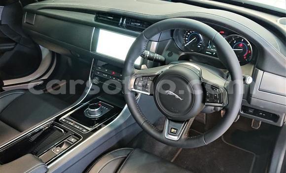 Acheter Occasion Voiture Jaguar XJ220 Blanc à Butha–Buthe, Thaba-Tseka Acheter Occasion Voiture Jaguar XJ220 Blanc à Butha–Buthe, Thaba-Tseka