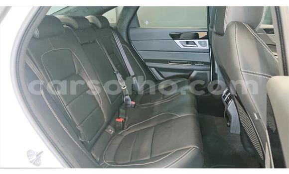 Acheter Occasion Voiture Jaguar XJ220 Blanc à Butha–Buthe, Thaba-Tseka Acheter Occasion Voiture Jaguar XJ220 Blanc à Butha–Buthe, Thaba-Tseka