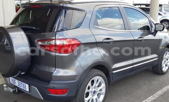 Acheter Occasion Voiture Ford EcoSport Gris à Mafeteng, Mafeteng Acheter Occasion Voiture Ford EcoSport Gris à Mafeteng, Mafeteng