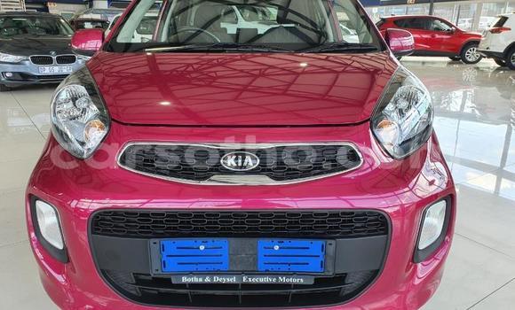 Acheter Occasion Voiture Kia Cerato Rouge à Import - Dubai, Maseru Acheter Occasion Voiture Kia Cerato Rouge à Import - Dubai, Maseru