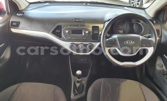 Acheter Occasion Voiture Kia Cerato Rouge à Import - Dubai, Maseru Acheter Occasion Voiture Kia Cerato Rouge à Import - Dubai, Maseru