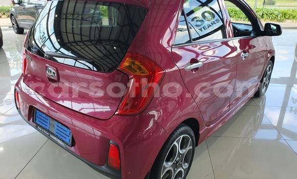 Acheter Occasion Voiture Kia Cerato Rouge à Import - Dubai, Maseru Acheter Occasion Voiture Kia Cerato Rouge à Import - Dubai, Maseru