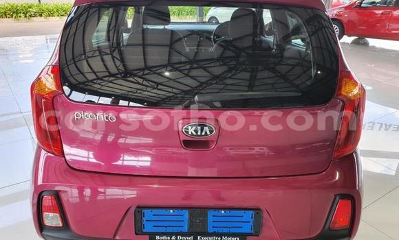 Acheter Occasion Voiture Kia Cerato Rouge à Import - Dubai, Maseru Acheter Occasion Voiture Kia Cerato Rouge à Import - Dubai, Maseru