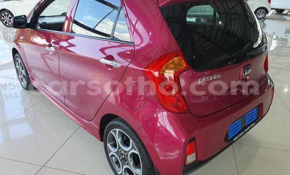 Acheter Occasion Voiture Kia Cerato Rouge à Import - Dubai, Maseru Acheter Occasion Voiture Kia Cerato Rouge à Import - Dubai, Maseru