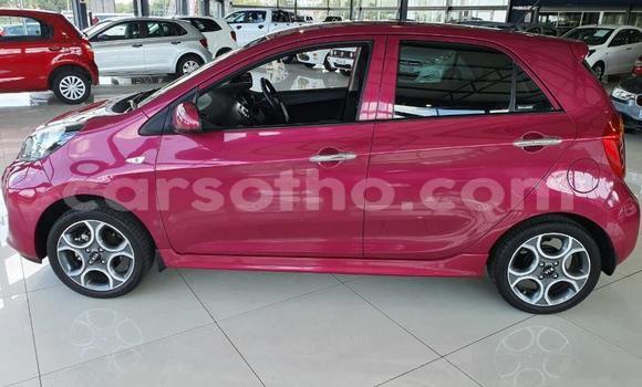 Acheter Occasion Voiture Kia Cerato Rouge à Import - Dubai, Maseru Acheter Occasion Voiture Kia Cerato Rouge à Import - Dubai, Maseru