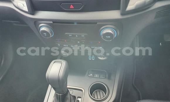 اشتري مستعمل Ford Everest White سيارة في Maputsoe في Leribe اشتري مستعمل Ford Everest White سيارة في Maputsoe في Leribe