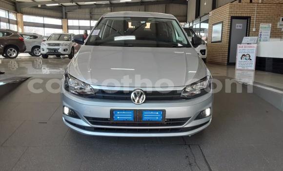 Buy Used Volkswagen Polo Silver Car in Maseru in Maseru Buy Used Volkswagen Polo Silver Car in Maseru in Maseru
