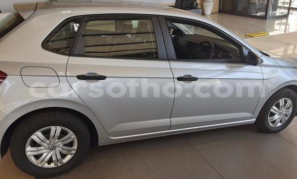 Buy Used Volkswagen Polo Silver Car in Maseru in Maseru Buy Used Volkswagen Polo Silver Car in Maseru in Maseru