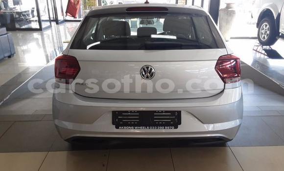 Buy Used Volkswagen Polo Silver Car in Maseru in Maseru Buy Used Volkswagen Polo Silver Car in Maseru in Maseru