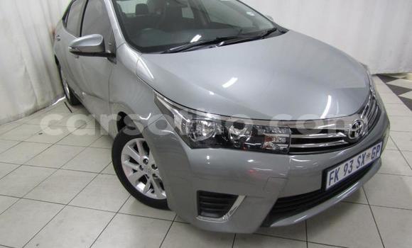 Buy Used Toyota Corolla Silver Car in Maseru in Maseru Buy Used Toyota Corolla Silver Car in Maseru in Maseru