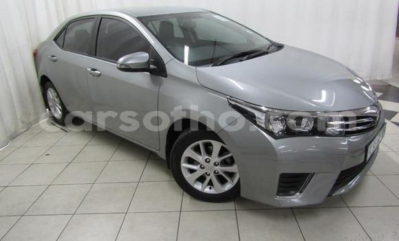 Buy Used Toyota Corolla Silver Car in Maseru in Maseru Buy Used Toyota Corolla Silver Car in Maseru in Maseru