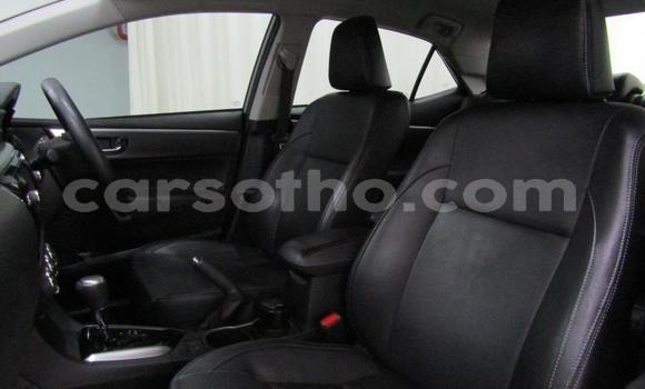 Buy Used Toyota Corolla Silver Car in Maseru in Maseru Buy Used Toyota Corolla Silver Car in Maseru in Maseru