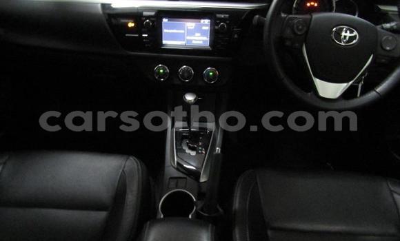 Buy Used Toyota Corolla Silver Car in Maseru in Maseru Buy Used Toyota Corolla Silver Car in Maseru in Maseru