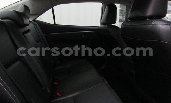 Buy Used Toyota Corolla Silver Car in Maseru in Maseru Buy Used Toyota Corolla Silver Car in Maseru in Maseru