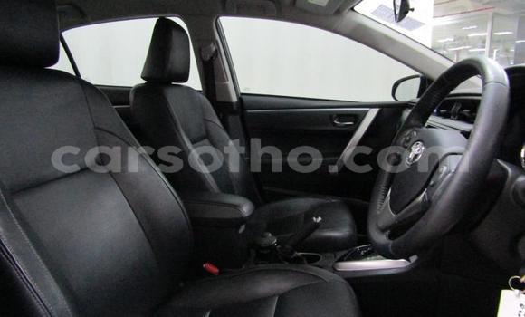 Buy Used Toyota Corolla Silver Car in Maseru in Maseru Buy Used Toyota Corolla Silver Car in Maseru in Maseru