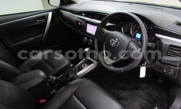 Buy Used Toyota Corolla Silver Car in Maseru in Maseru Buy Used Toyota Corolla Silver Car in Maseru in Maseru