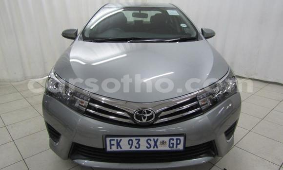 Buy Used Toyota Corolla Silver Car in Maseru in Maseru Buy Used Toyota Corolla Silver Car in Maseru in Maseru