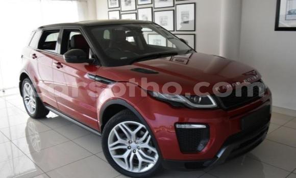 اشتري مستعمل Land Rover Range Rover Red سيارة في Maseru في Maseru اشتري مستعمل Land Rover Range Rover Red سيارة في Maseru في Maseru