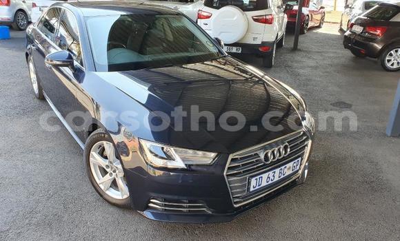 Buy Used Audi A4 Silver Car in Maseru in Maseru Buy Used Audi A4 Silver Car in Maseru in Maseru