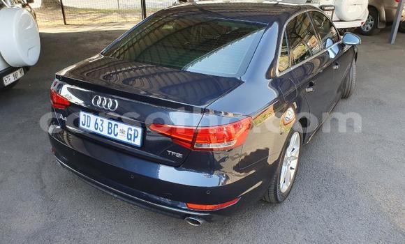 Buy Used Audi A4 Silver Car in Maseru in Maseru Buy Used Audi A4 Silver Car in Maseru in Maseru