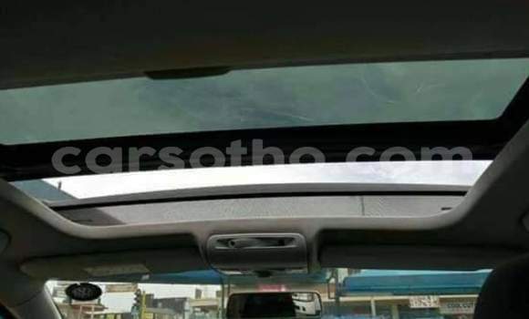 Acheter Occasion Voiture Volkswagen Polo Rouge à Mafeteng, Mafeteng Acheter Occasion Voiture Volkswagen Polo Rouge à Mafeteng, Mafeteng