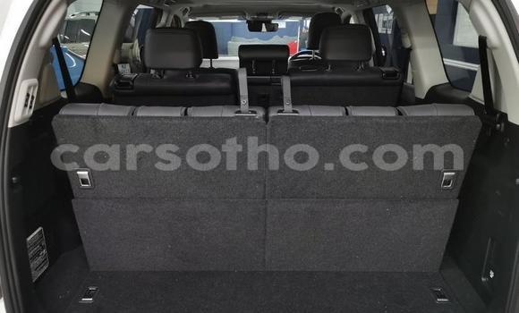 Sayi Na hannu Toyota Land Cruiser Prado White Mota in Import - Dubai a Maseru Sayi Na hannu Toyota Land Cruiser Prado White Mota in Import - Dubai a Maseru