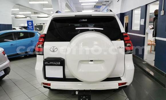 Sayi Na hannu Toyota Land Cruiser Prado White Mota in Import - Dubai a Maseru Sayi Na hannu Toyota Land Cruiser Prado White Mota in Import - Dubai a Maseru