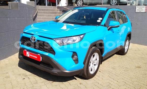 Acheter Occasion Voiture Toyota RAV4 Bleu à Butha–Buthe, Thaba-Tseka Acheter Occasion Voiture Toyota RAV4 Bleu à Butha–Buthe, Thaba-Tseka