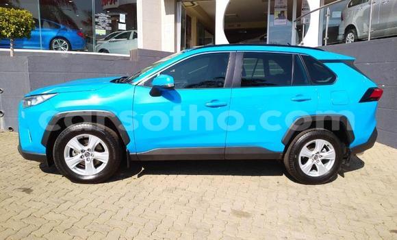 Acheter Occasion Voiture Toyota RAV4 Bleu à Butha–Buthe, Thaba-Tseka Acheter Occasion Voiture Toyota RAV4 Bleu à Butha–Buthe, Thaba-Tseka